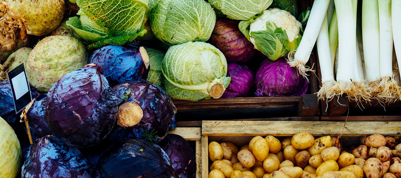 The Business Behind Nutritional Counseling