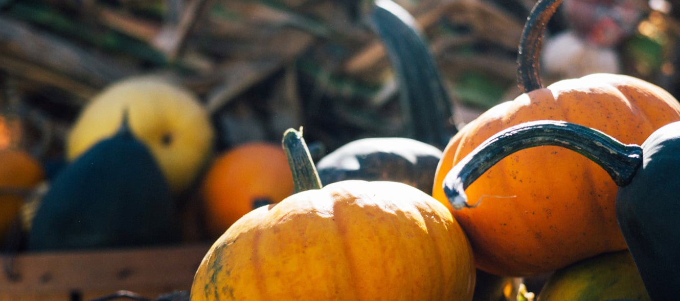 Creative Ways to Celebrate Halloween at Your Studio