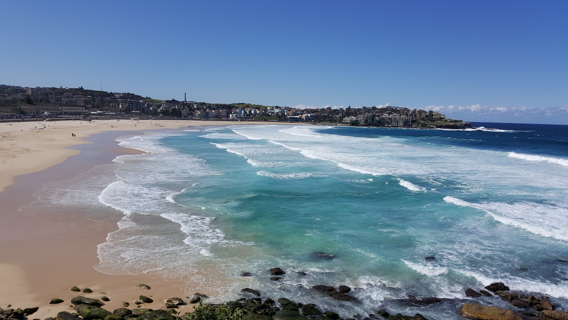 Fitness Market Profile: Sydney