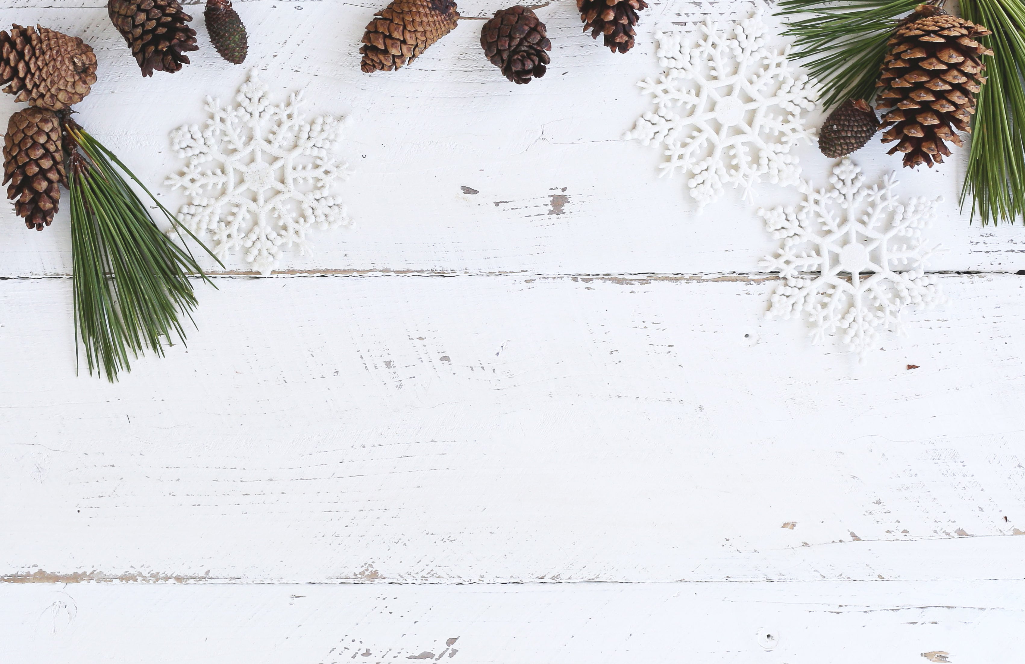 Festive (and Trendy!) Holiday Decor for Your Studio &nbsp;