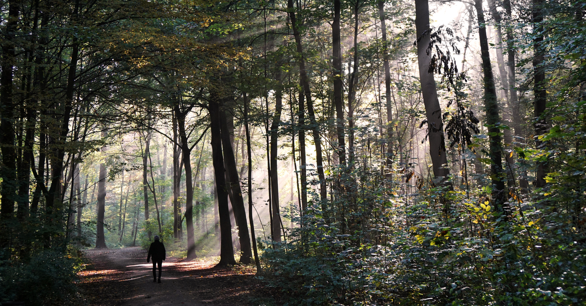 Self-Care Practices for Fitness and Wellness Professionals